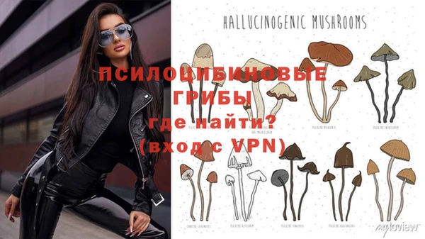 ешки Арсеньев