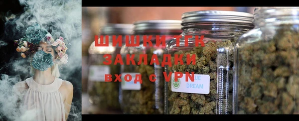 ешки Арсеньев