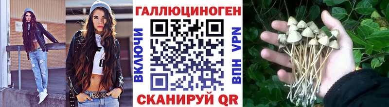 Галлюциногенные грибы мицелий Гвардейск